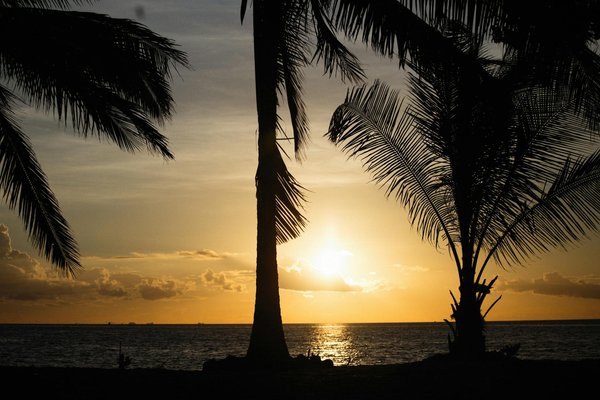 Les meilleures locations à demi-quartier pour un séjour inoubliable