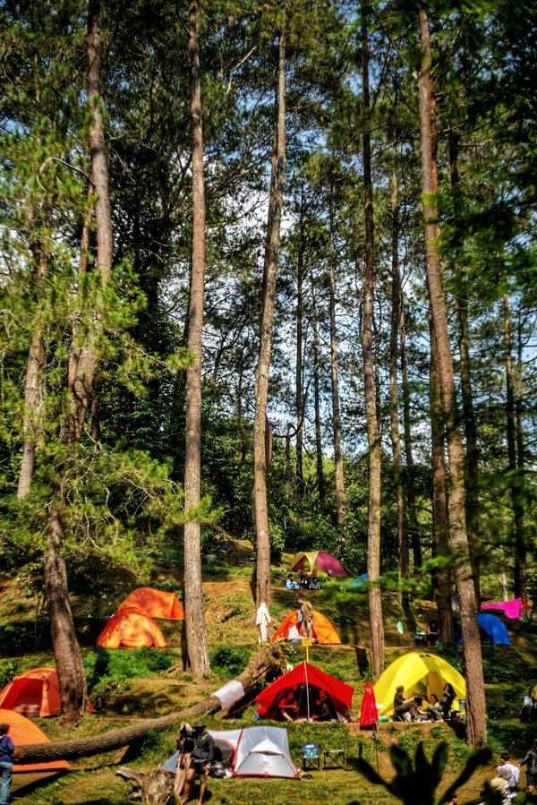 Camping marais poitevin : entre nature et hébergements uniques !